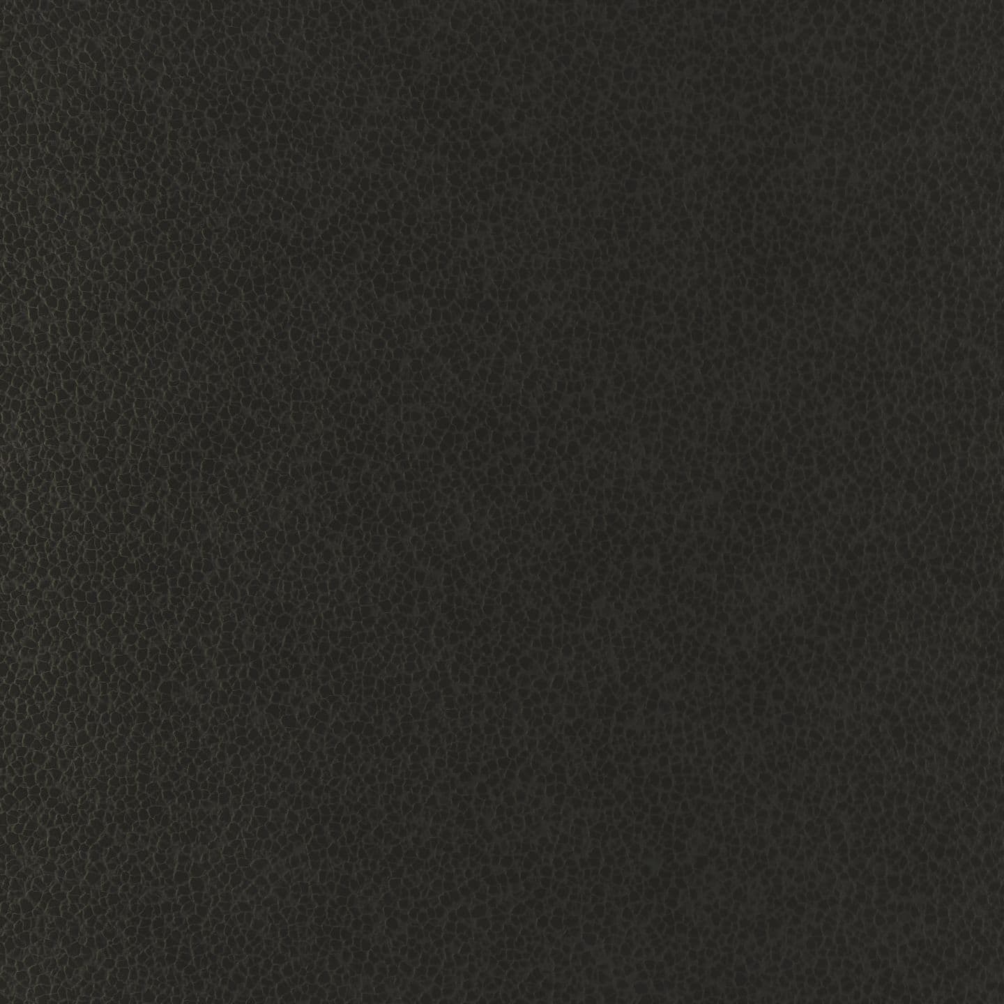 E8100 - Ecopelle nero